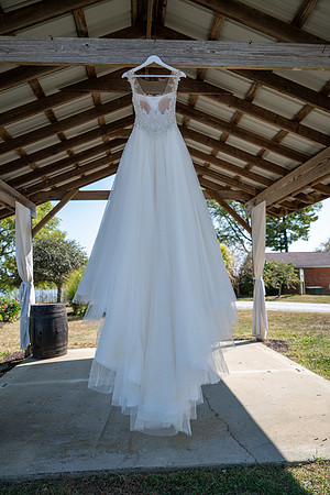 NZF_6177