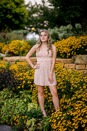 _Z917105