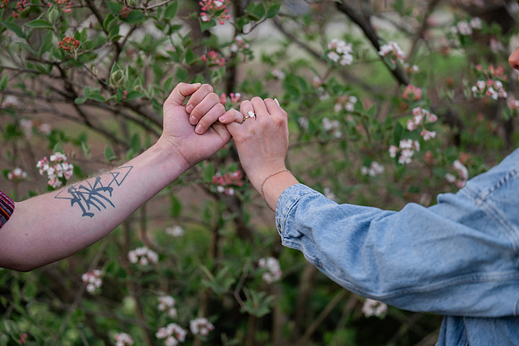 _Z919925