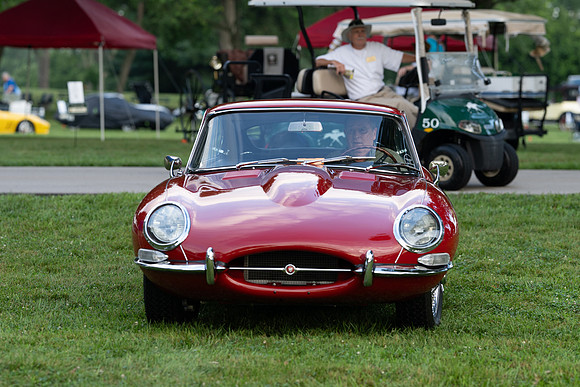 Z81_3922
