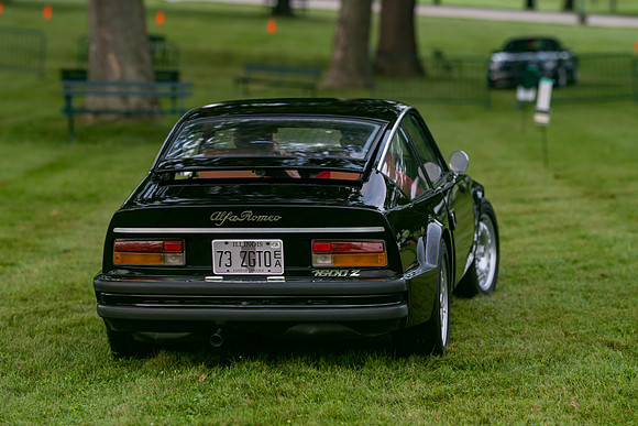Z81_3848