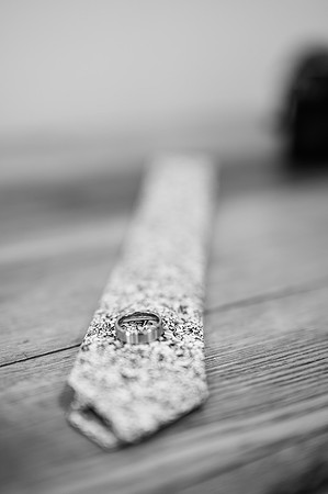Z62_6295
