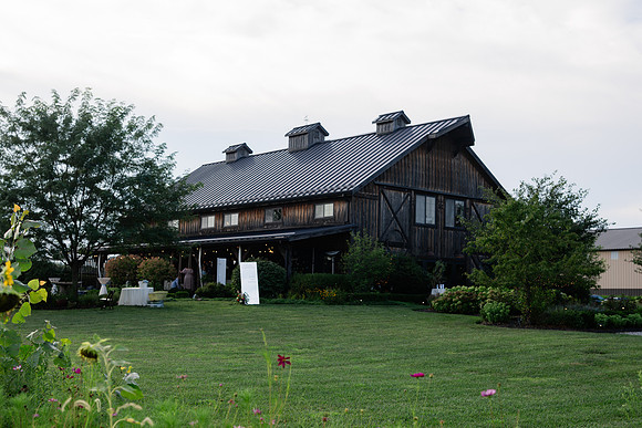 _Z919126