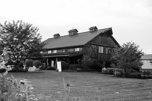 _Z919128