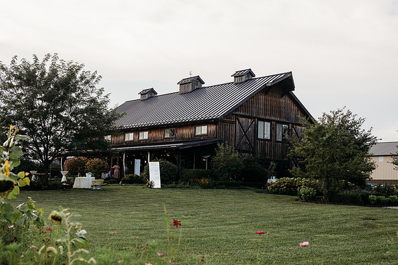 _Z919127