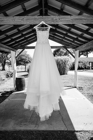NZF_6173