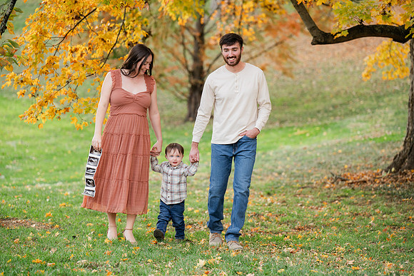 _Z911496