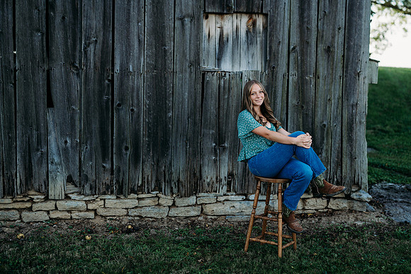 _Z819401