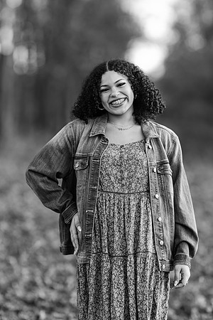 _Z914123