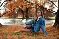 _Z819095