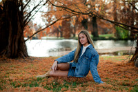 _Z819096