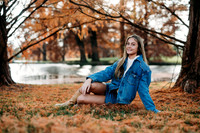 _Z819094