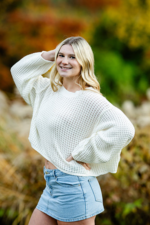 _Z915981