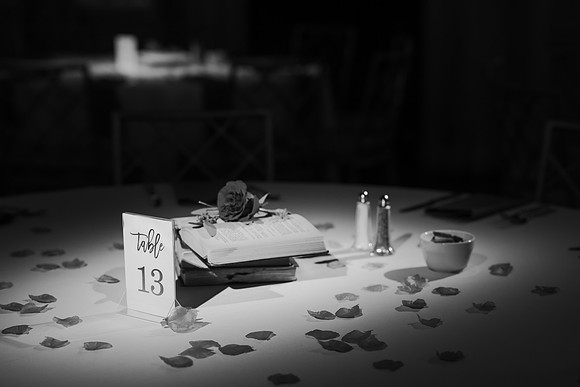 _Z918091