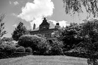 _Z813538