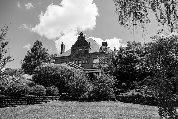 _Z813538