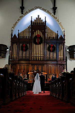 NZF_1354