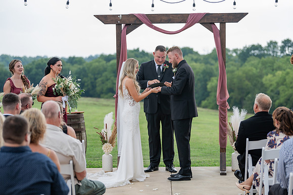 _Z913395
