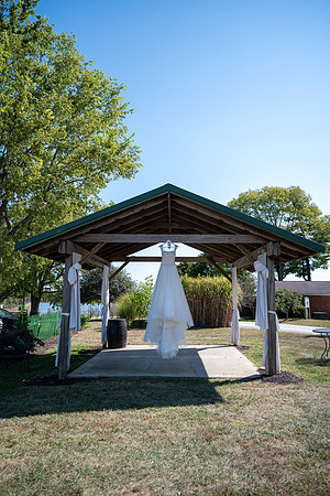 NZF_6166