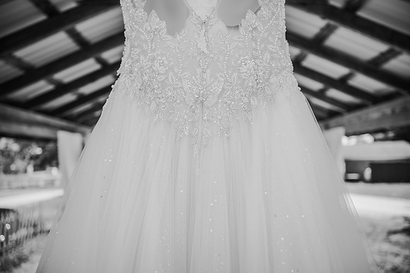 NZF_6181