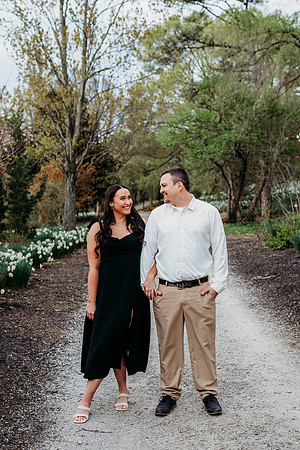 Z81_9029