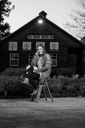 _DSC0919