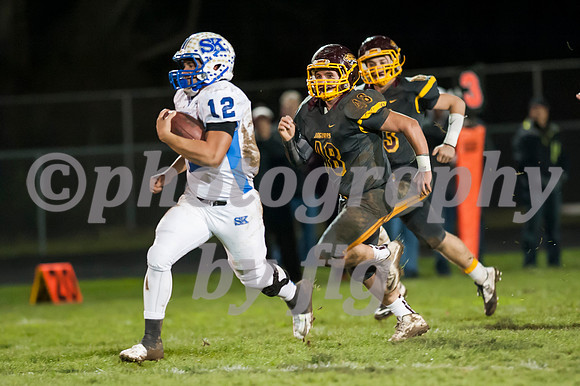 MF1_3118