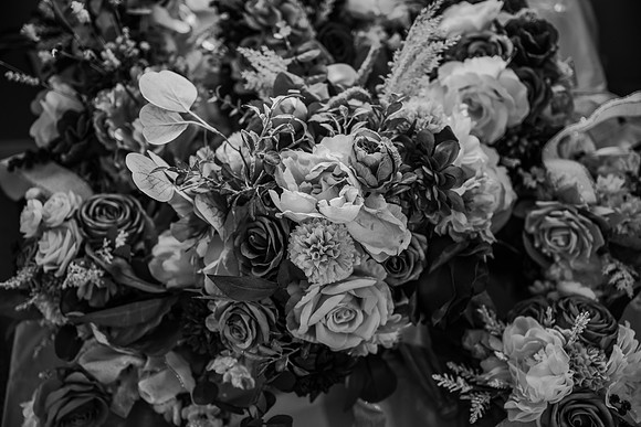 NZF_8407