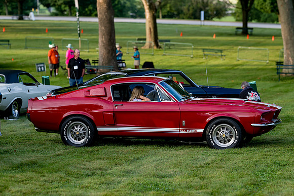 Z81_3891