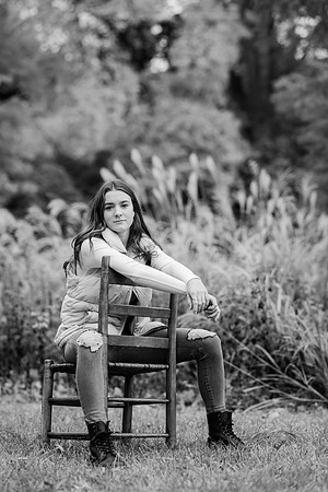 _85M2719