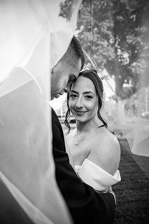 NZF_5330