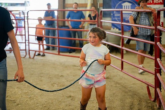 _Z910037