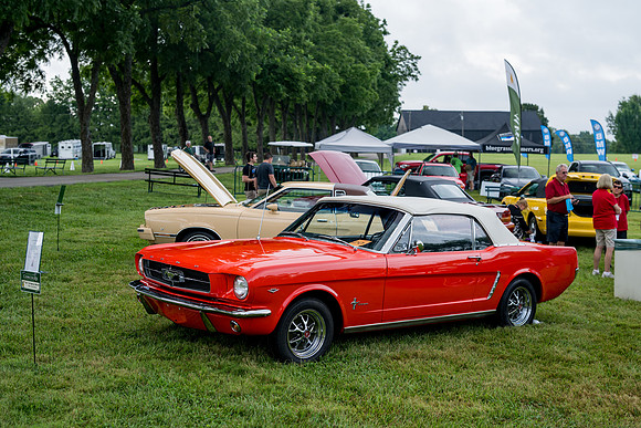 Z81_4002