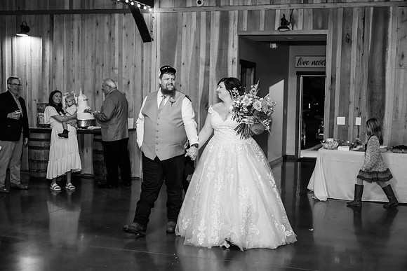 Z81_8014