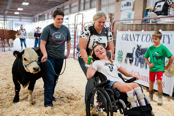 Z81_8198