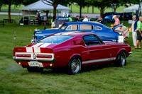 Z81_3888