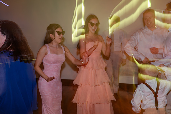 NZF_3537