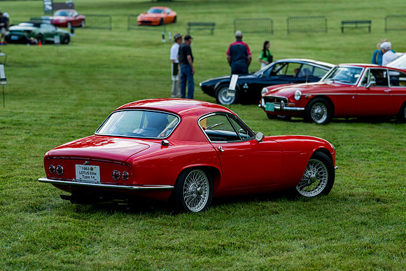 Z81_3949