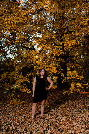 DSC_3535