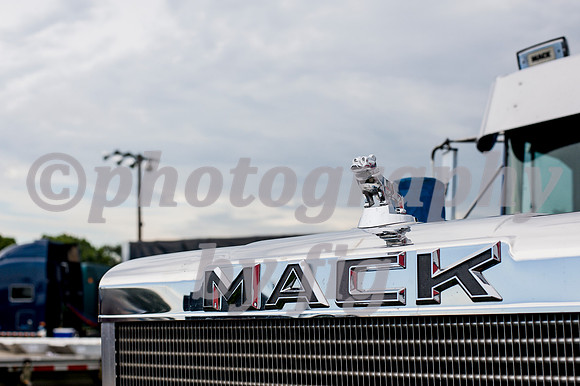MF1_1839