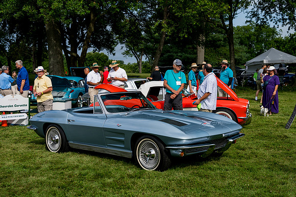 Z81_4032